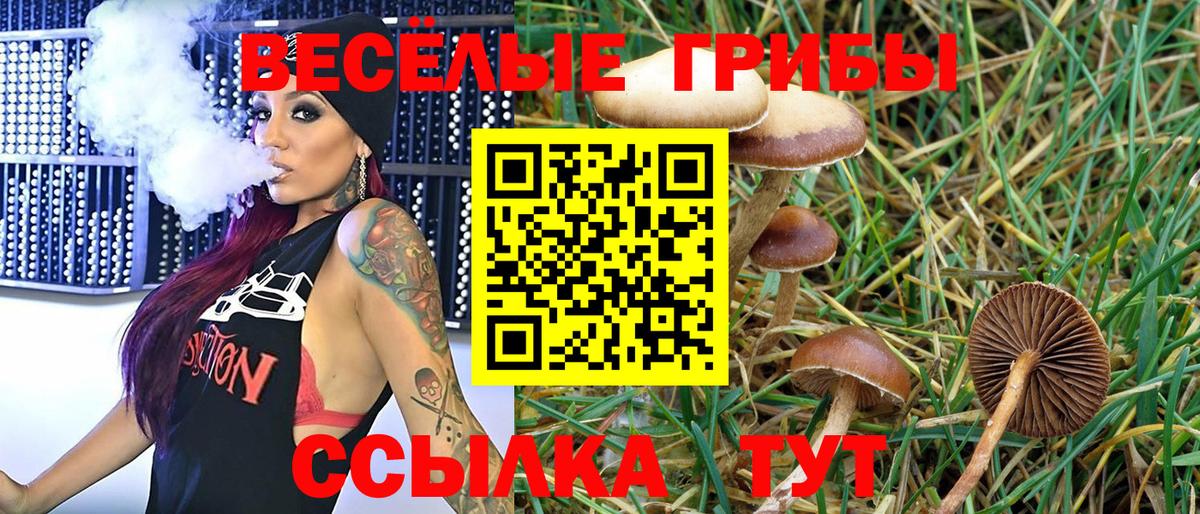 Галлюциногенные грибы прущие грибы Новотроицк